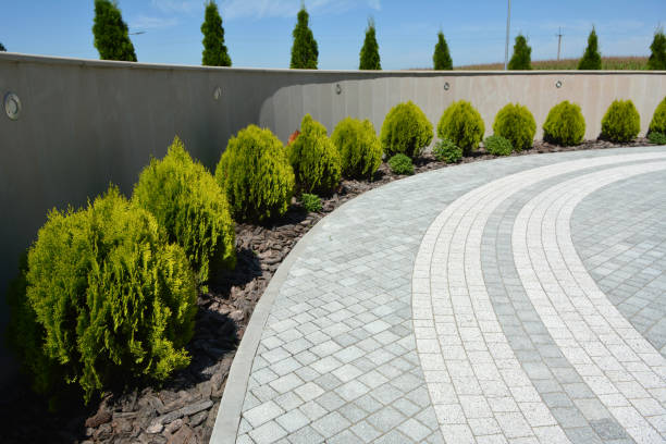 Best Brick Driveway Pavers  in Wmington, IL